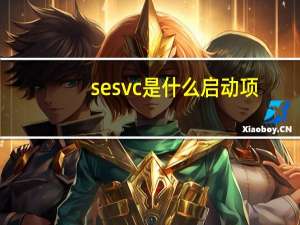 sesvc是什么启动项（sesvc）