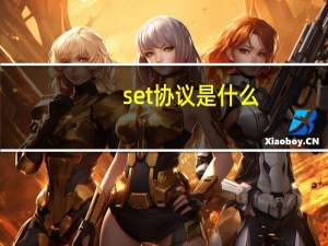 set协议是什么