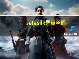 seta silk是真丝吗