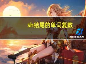 sh结尾的单词 复数