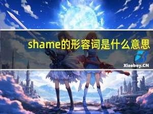 shame的形容词是什么意思