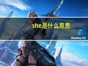 she是什么意思