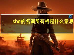 she的名词所有格是什么意思