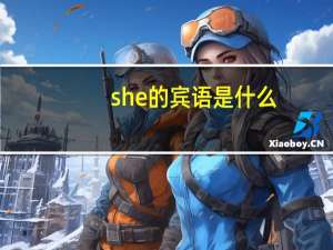 she的宾语是什么