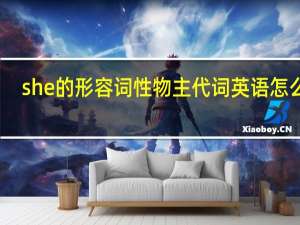 she的形容词性物主代词英语怎么写