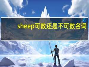 sheep可数还是不可数名词