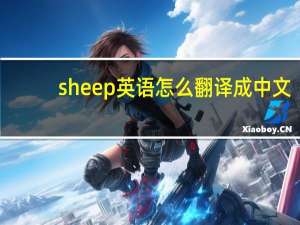 sheep英语怎么翻译成中文？