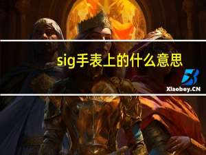 sig手表上的什么意思