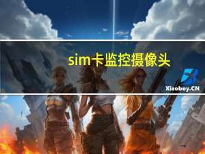 sim卡监控摄像头