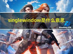 singlewindow是什么意思（single window 是什么意思）