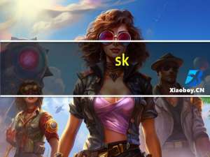 sk-ll是什么牌子