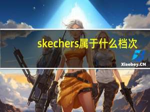 skechers属于什么档次