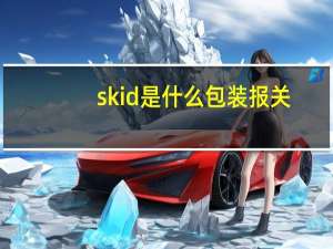 skid是什么包装 报关（skid是什么包装）