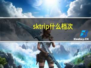 sktrip什么档次