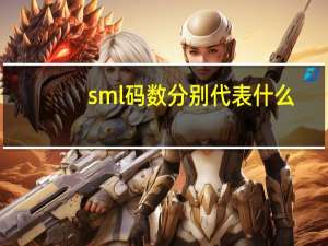 sml码数分别代表什么（sml）