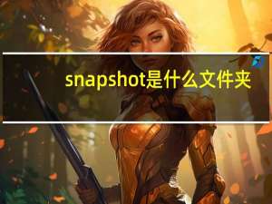 snapshot是什么文件夹
