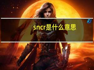 sncr是什么意思