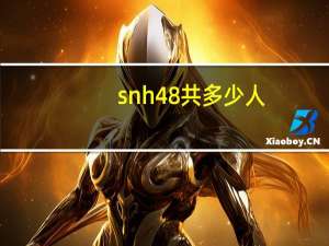 snh48共多少人
