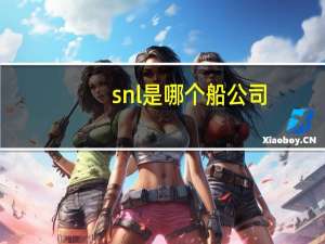 snl是哪个船公司