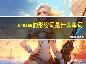 snow的形容词是什么单词
