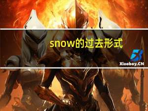snow的过去形式