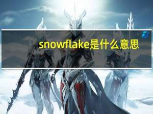 snowflake是什么意思