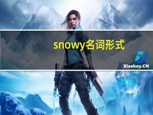 snowy名词形式