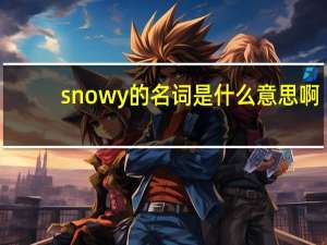 snowy的名词是什么意思啊
