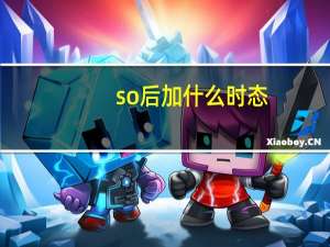 so后加什么时态