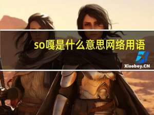 so嘎是什么意思网络用语（soga是什么意思）