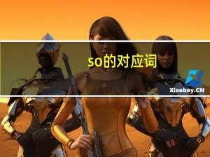 so的对应词