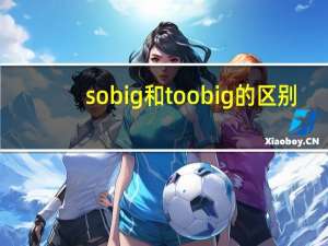 so big和too big的区别