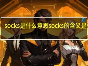 socks是什么意思 socks的含义是什么