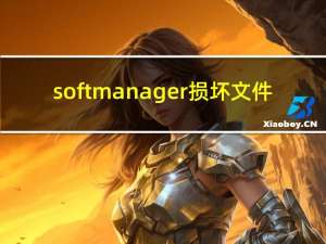 softmanager损坏文件（softmanager）