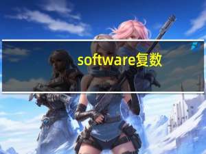 software复数