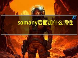somany后面加什么词性