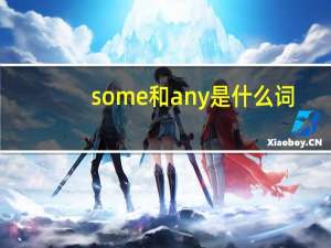 some和any是什么词