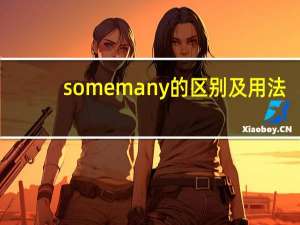 somemany的区别及用法