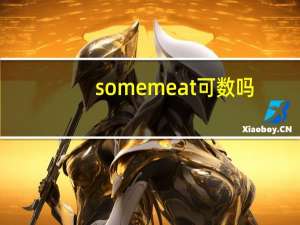 some meat可数吗