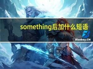 something后加什么短语