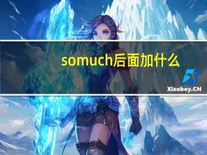so much后面加什么