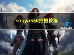 sonya550拍摄教程（sonya550）