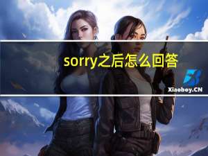 sorry之后怎么回答