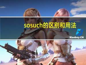so such的区别和用法
