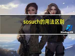 sosuch的用法区别