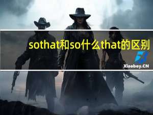 so that和so什么that的区别