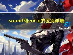 sound和voice的区别详细（sound和voice的区别）