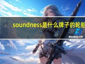 soundness是什么牌子的轮胎
