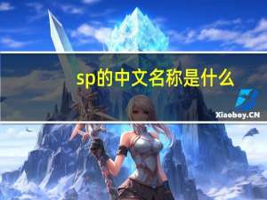 sp的中文名称是什么