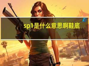 sp1是什么意思啊鞋底（sp1是什么意思）